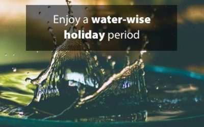 Enjoy a water-wise holiday period