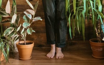 Breathe cleaner air in your home