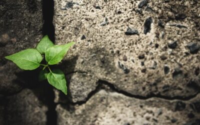 Building Confidence Through Failure: The Path to Growth