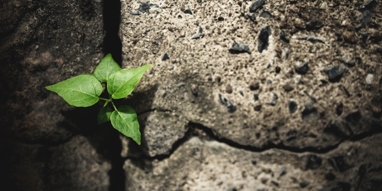 Building Confidence Through Failure- The Path to Growth