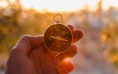 Wealth Without Direction Eventually Disappears